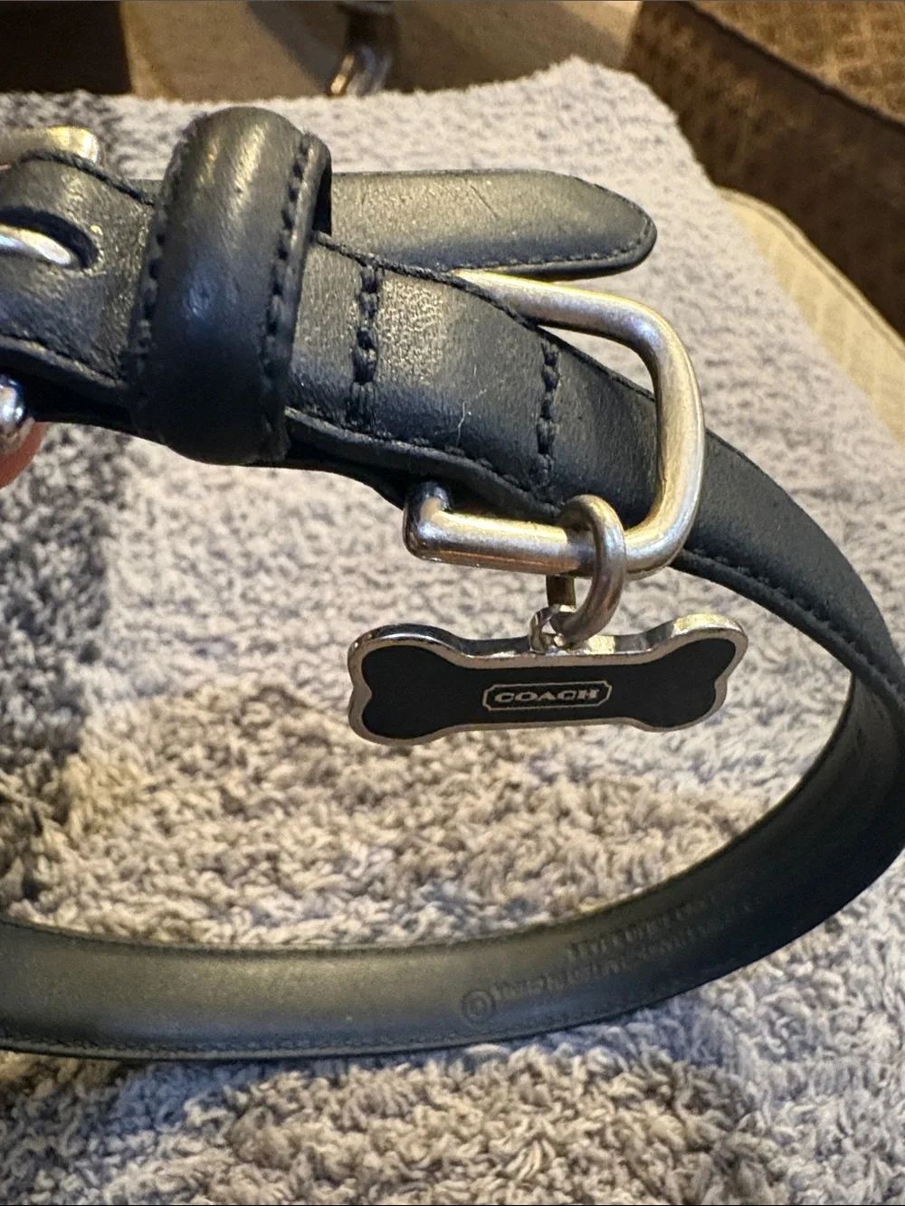 Coach dog collar